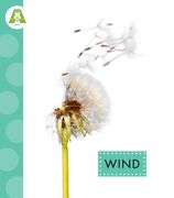 Wind (en Inglés)