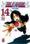 Bleach 14 (Comic)