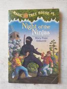 Night of the Ninjas 