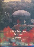 Letra e imagen de Buenos Aires (in Bilingue)