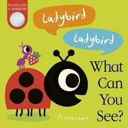 Ladybird! Ladybird! What can you See? 3 (en Inglés)