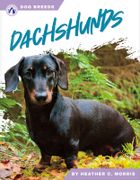 Dachshunds (en Inglés)