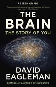 The Brain: The Story of You (en Inglés)