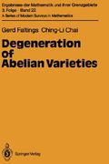 degeneration of abelian varieties (en Inglés)