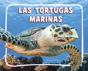 Las Tortugas Marinas