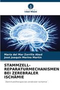 Stammzell-Reparaturmechanismen Bei Zerebraler Ischämie (en Alemán)