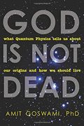 God is not Dead: What Quantum Physics Tells us About our Origins and how we Should Live (en Inglés)