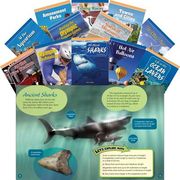 Measurement Set: Grades 3-5 (en Inglés)