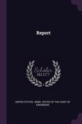 Report (en Inglés)