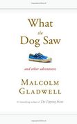 what the dog saw,essays