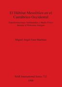 El Hábitat Mesolítico en el Cantábrico Occidental: Transformaciones Ambientales y Medio Físico Durante el Holoceno Antiguo (732) (British Archaeological Reports International Series) 