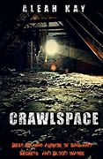 Aleah Kay's Crawlspace: You can't lock out, What's already in.