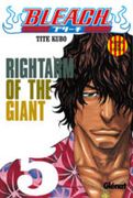 Bleach 5 (Manga en català)