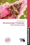 acrocercops tristaniae (en Inglés)