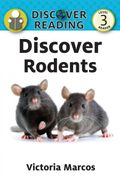 Discover Rodents 