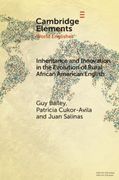 Inheritance and Innovation in the Evolution of Rural African American English (Elements in World Englishes) (en Inglés)