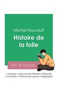 Réussir son bac de Philosophie 2023: Analyse de L'histoire de la Folie de Michel Foucault (en Francés)