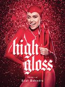 High Gloss: The art of Vijat Mohindra (en Inglés)