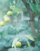 The Hopper: 2016