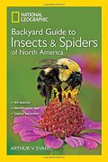 National Geographic Backyard Guide to Insects and Spiders of North America 