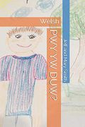 Pwy yw Duw? Welsh (God and Friends) (en Galés)