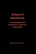 Echoes of Heartbreak: Unmasking the Raw Emotion in 'Break My Heart Again (en Inglés)