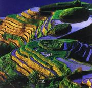 China: El Reino del Dragón (Arte Milenario) (in Spanish)