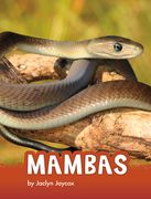Mambas (en Inglés)