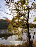 The Splendor of Lake Elkhorn in the Fall (en Inglés)