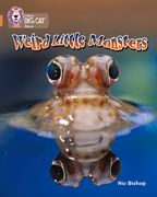 Weird Little Monsters: Copper/Band 12 (en Inglés)