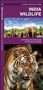 India Wildlife: A Folding Pocket Guide to Familiar Animals (Pocket Naturalist Guide Series)