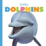 Baby Dolphins (en Inglés)