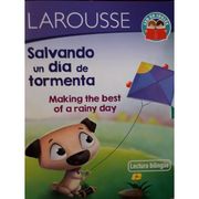 Salvando un dia de Tormenta: Lectura Bilingue