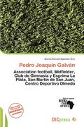 pedro joaqu n galv n