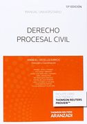 Derecho Procesal Civil (Papel + e-book) (Manuales)