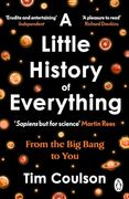 A Little History of Everything: From the big Bang to you (And Every Moment in Between) (en Inglés)