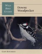 wild bird guide: downy woodpecker (en Inglés)