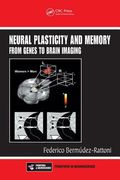 neural plasticity and memory: from genes to brain imaging (en Inglés)