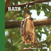 Bats 