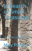 In Search of Small Treasures: Sun series book three
