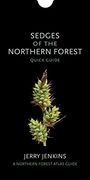 Sedges of the Northern Forest: Quick Guide (The Northern Forest Atlas Guides) (en Inglés)