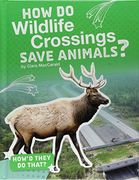 How Do Wildlife Crossings Save Animals? (en Inglés)
