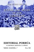 entre las patas de los caballos/ between the legs of the horses