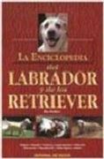 el labrador y los otros retriever