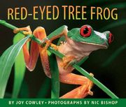 the red-eyed tree frog (en Inglés)