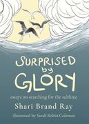 Surprised by Glory: Essays on Searching for the Sublime (en Inglés)