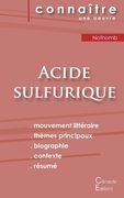 Fiche de lecture Acide sulfurique de Nothomb (Analyse littéraire de référence et résumé complet) (en Francés)