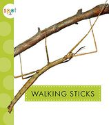 Walking Sticks (Spot Creepy Crawlies) (en Inglés)