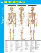 Skeletal System Sparkcharts (Volume 62) (en Inglés)