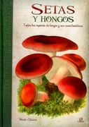 Setas y Hongos: Todas las Especies de Hongos y sus Características